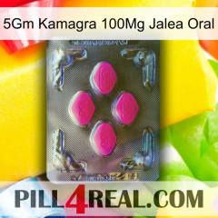 5Gm Kamagra 100Mg Oral Jelly 02